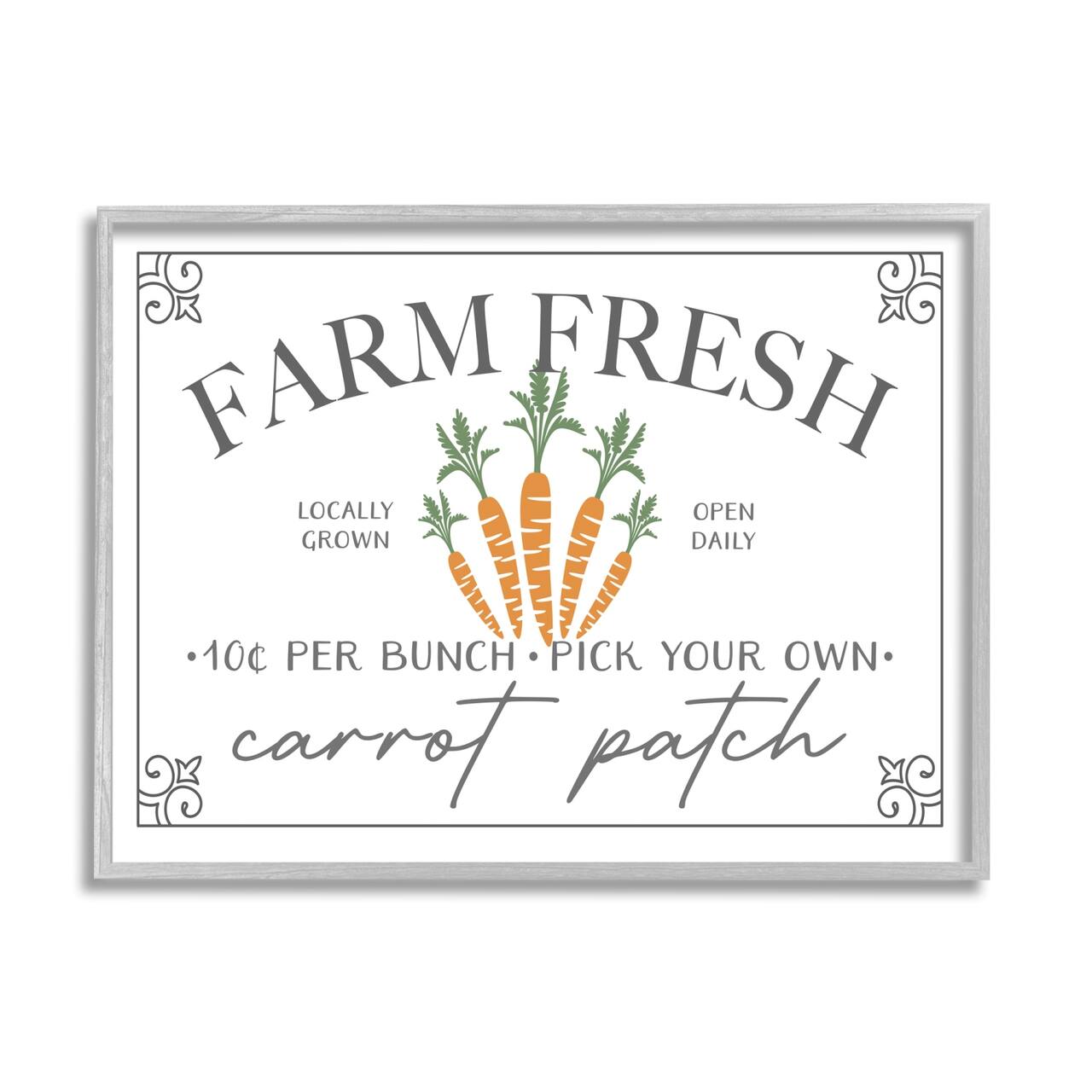 Stupell Industries Farm Fresh Carrot Patch Seasonal Springtime Vegetables Framed Giclee Art